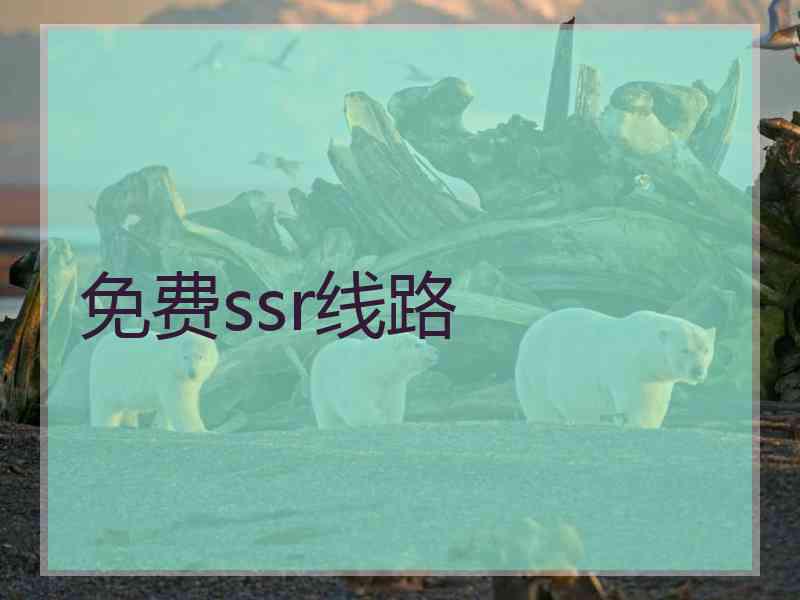 免费ssr线路