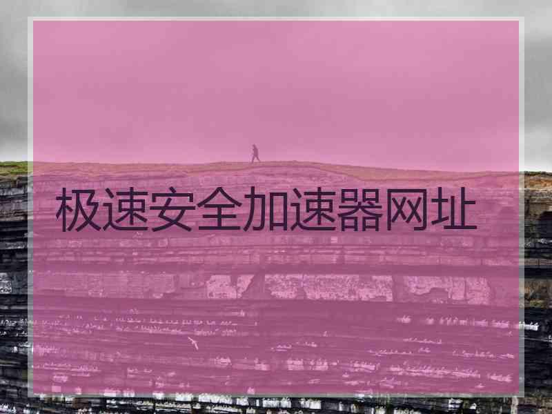 极速安全加速器网址