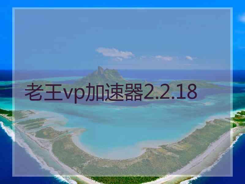 老王vp加速器2.2.18