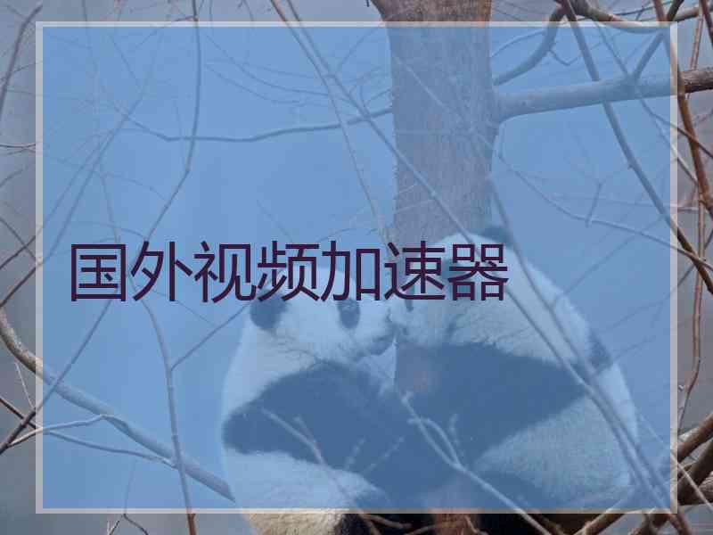 国外视频加速器