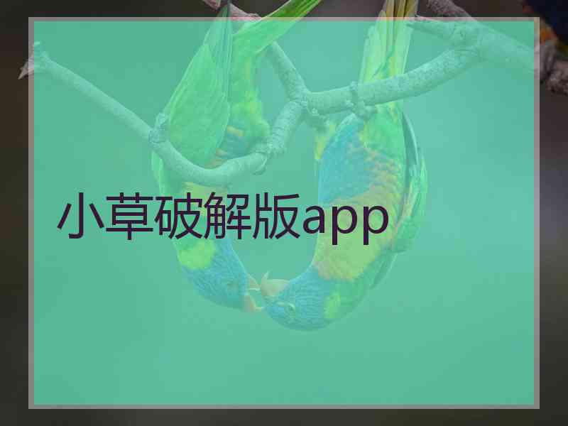小草破解版app