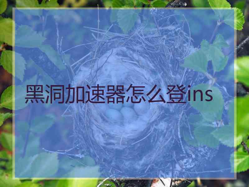 黑洞加速器怎么登ins