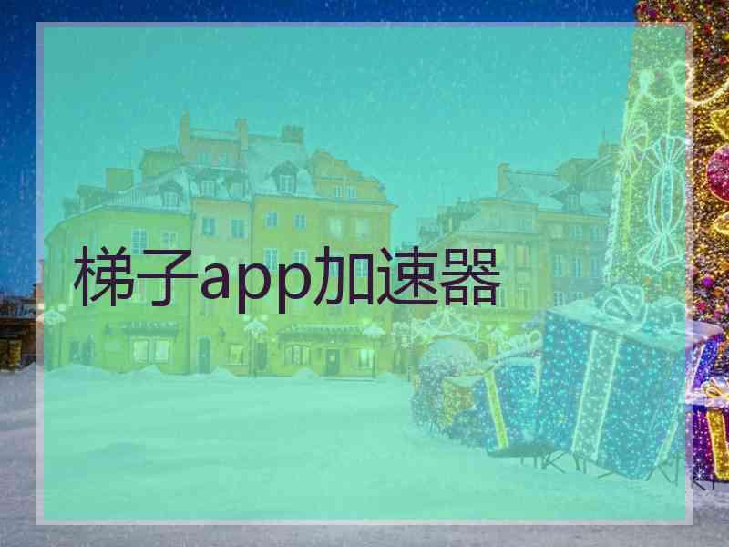 梯子app加速器