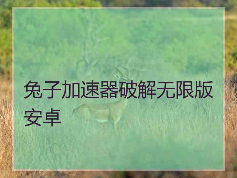 兔子加速器破解无限版安卓