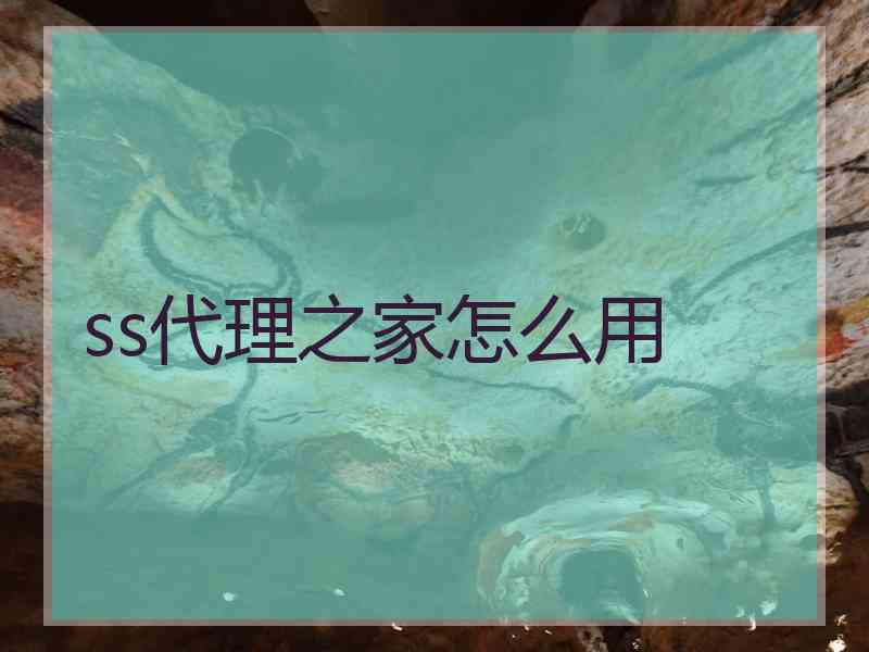 ss代理之家怎么用