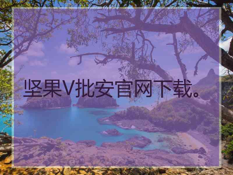 坚果V批安官网下载。