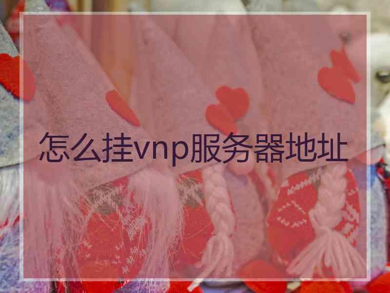 怎么挂vnp服务器地址