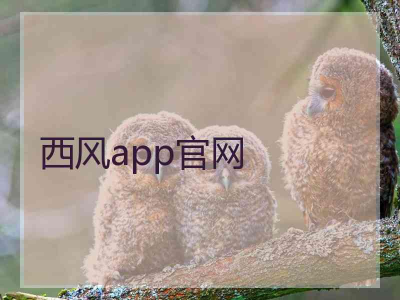西风app官网