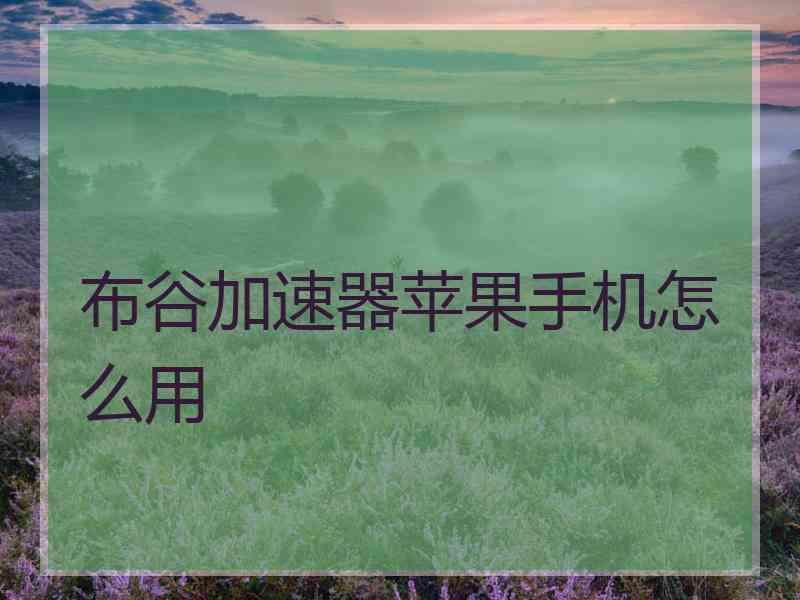 布谷加速器苹果手机怎么用