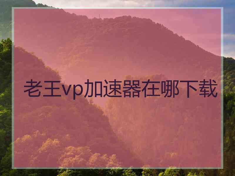 老王vp加速器在哪下载