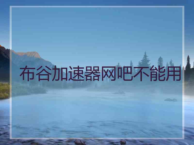 布谷加速器网吧不能用